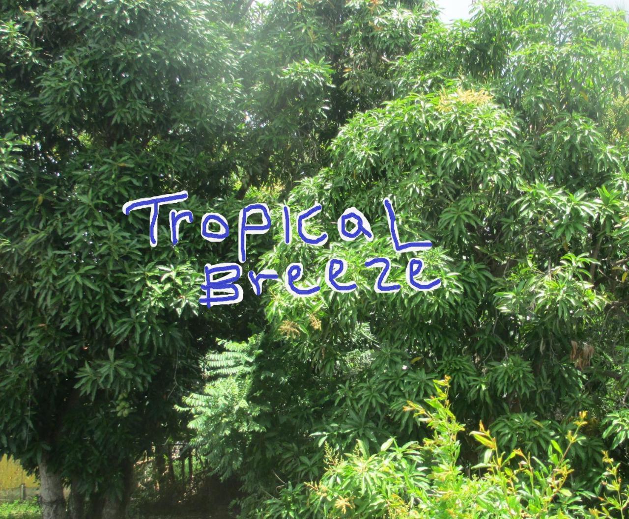 Tropical Breeze Vacation Home And Apartments Gros Islet Zewnętrze zdjęcie