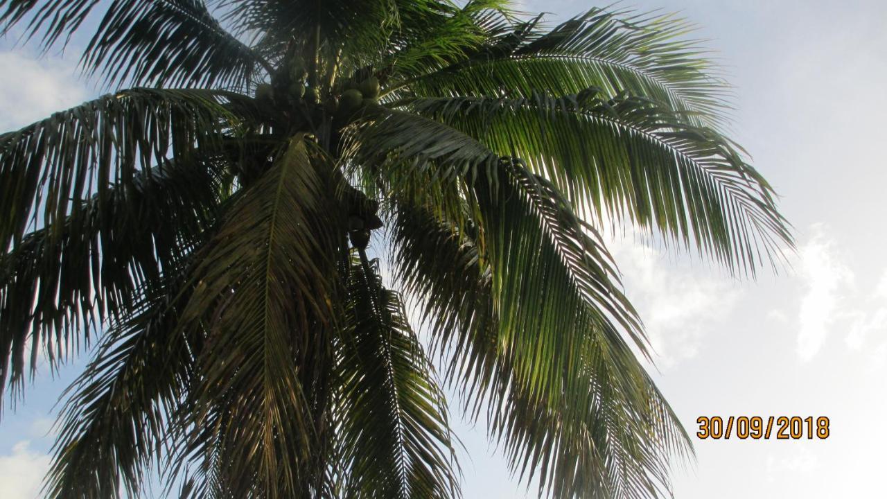 Tropical Breeze Vacation Home And Apartments Gros Islet Zewnętrze zdjęcie